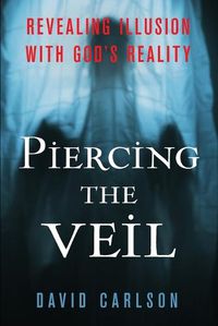 Cover image for Piercing the Veil