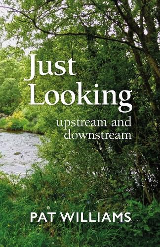 Cover image for Just Looking: upstream and downstream