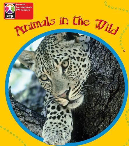 Cover image for Primary Years Programme Level 1 Animals in the Wild 6Pack