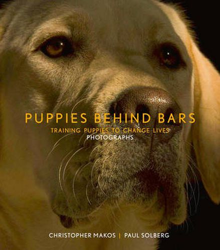 Cover image for Puppies Behind Bars: Training Puppies to Change Lives