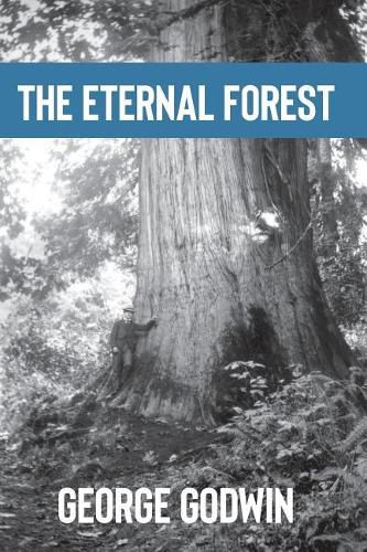 Cover image for The Eternal Forest