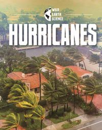 Cover image for Hurricanes