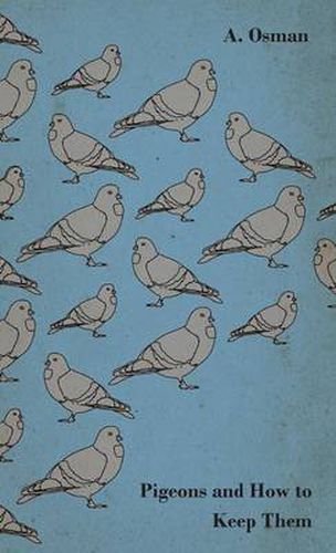 Cover image for Pigeons And How To Keep Them