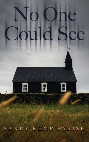 Cover image for No One Could See