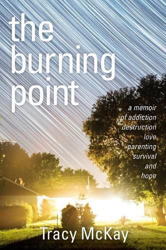 Cover image for The Burning Point: A Memoir of Addiction, Destruction, Love, Parenting, Survival, and Hope