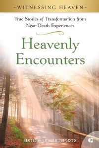 Cover image for Heavenly Encounters