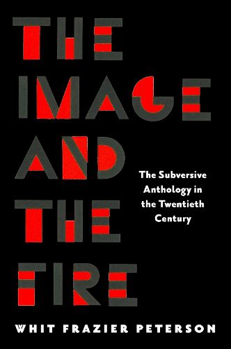 Cover image for The Image and the Fire
