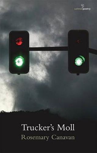 Cover image for Trucker's Moll