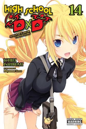 Cover image for High School DxD, Vol. 14 (light novel)