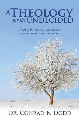 Cover image for A Theology for the Undecided