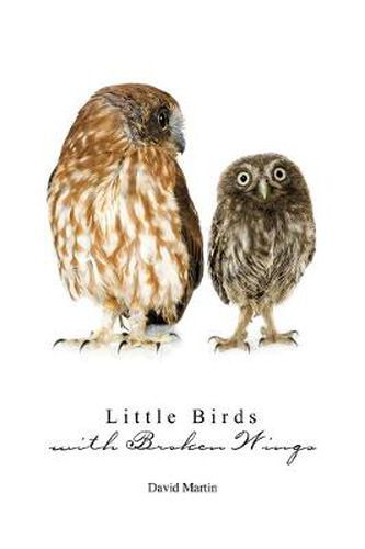 Cover image for Little Birds with Broken Wings