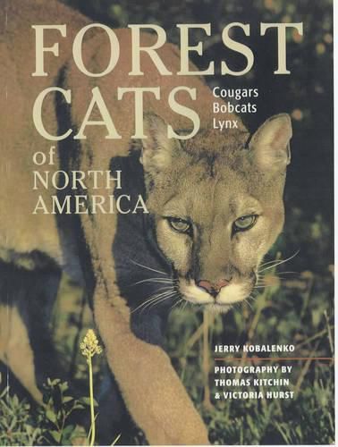 Cover image for Forest Cats of North America