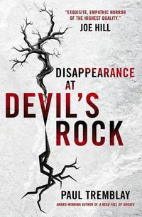 Cover image for Disappearance at Devil's Rock: A Novel