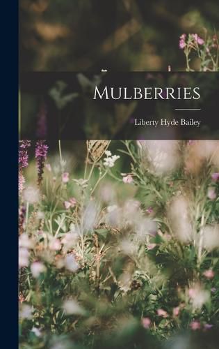 Cover image for Mulberries