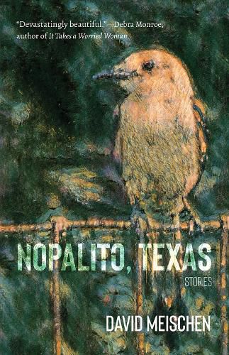 Cover image for Nopalito, Texas