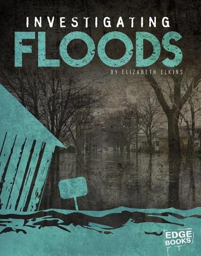 Cover image for Investigating Floods (Investigating Natural Disasters)