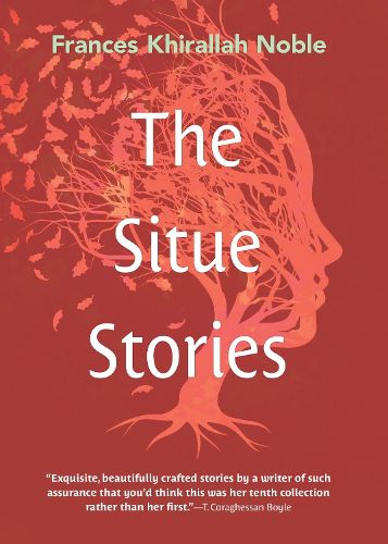 Cover image for The Situe Stories