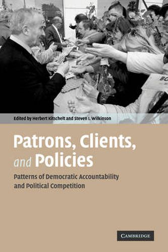 Cover image for Patrons, Clients and Policies: Patterns of Democratic Accountability and Political Competition