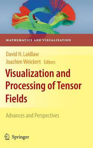 Cover image for Visualization and Processing of Tensor Fields: Advances and Perspectives