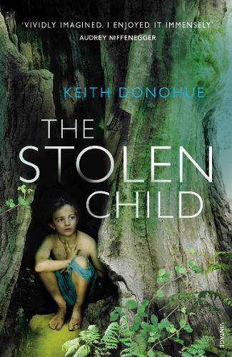 Cover image for The Stolen Child