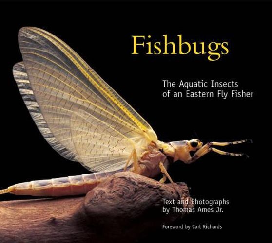 Cover image for Fishbugs: The Aquatic Insects of an Eastern Flyfisher