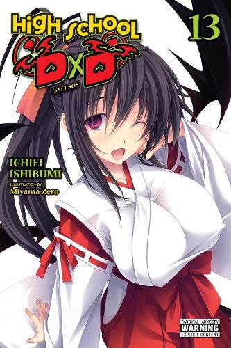 Cover image for High School DxD, Vol. 13 (light novel)