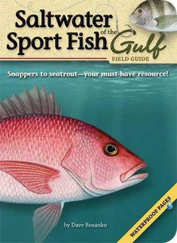 Cover image for Saltwater Sport Fish of the Gulf Field Guide