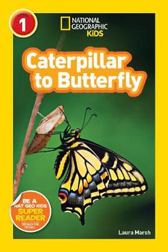 Cover image for National Geographic Kids Readers: Caterpillar to Butterfly