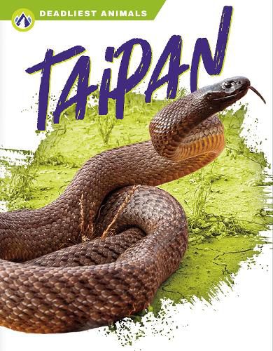 Cover image for Deadliest Animals: Taipan