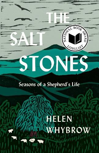 Cover image for The Salt Stones