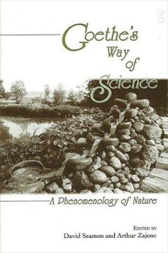 Cover image for Goethe's Way of Science: A Phenomenology of Nature