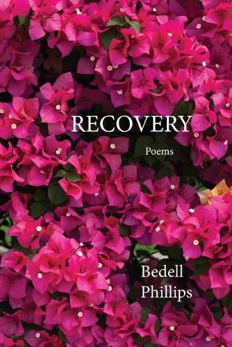 Cover image for Recovery