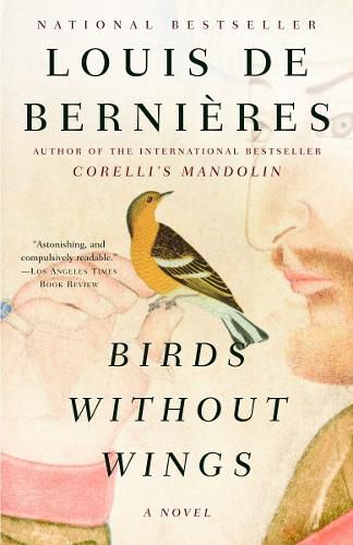 Cover image for Birds Without Wings