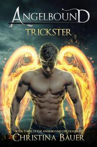 Cover image for Trickster