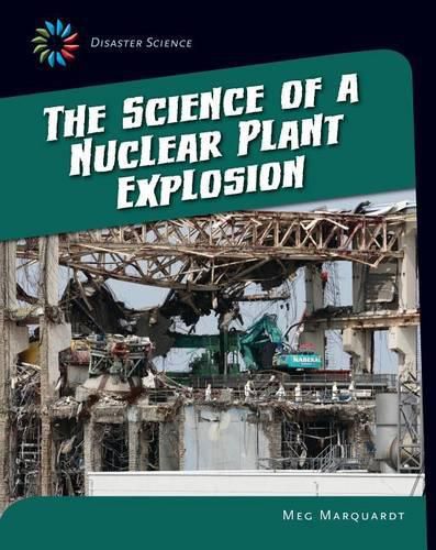 Science of a Nuclear Plant Explosion