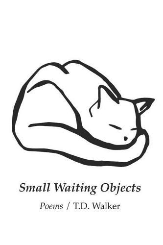 Cover image for Small Waiting Objects