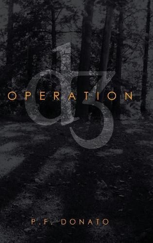 Cover image for Operation D3