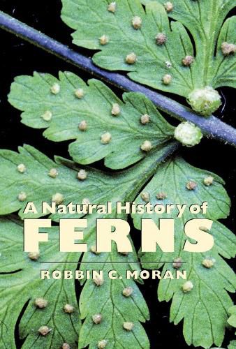 Cover image for A Natural History of Ferns