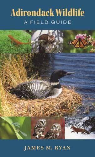 Cover image for Adirondack Wildlife