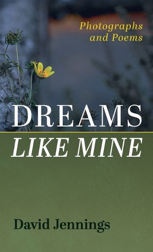 Cover image for Dreams Like Mine