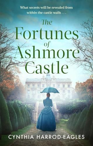 Cover image for The Fortunes of Ashmore Castle