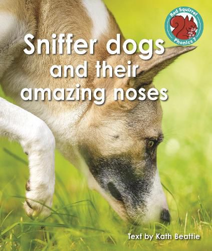 Cover image for Sniffer dogs and their amazing noses