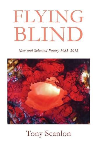 Cover image for Flying Blind: New and Selected Poetry 1985-2015