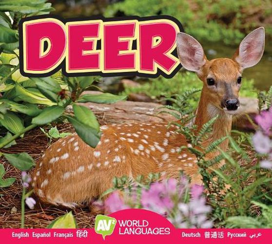 Cover image for Deer