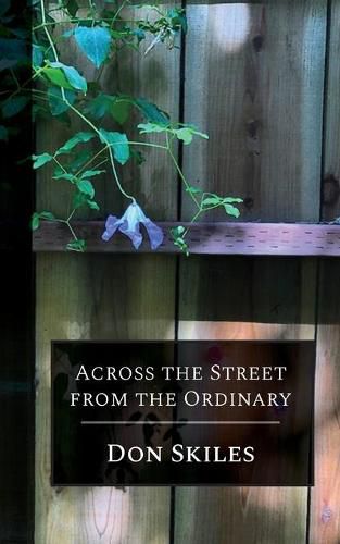 Cover image for Across the Street from the Ordinary