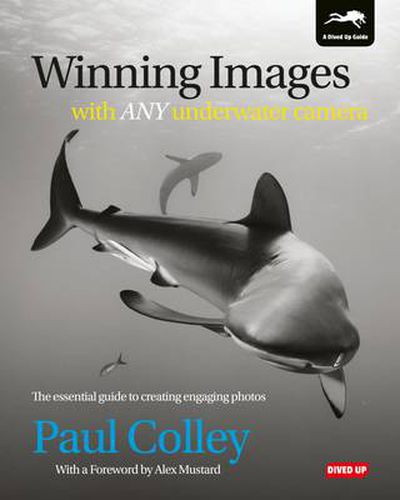 Winning Images with Any Underwater Camera: The Essential Guide to Creating Engaging Photos