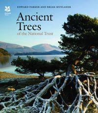 Cover image for Ancient Trees of the National Trust