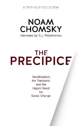 The Precipice: Neoliberalism, the Pandemic and the Urgent Need for Radical Change