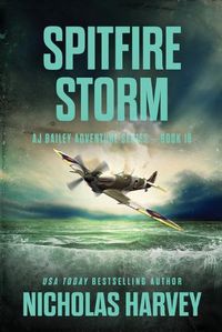 Cover image for Spitfire Storm