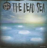 Cover image for The Dead Sea